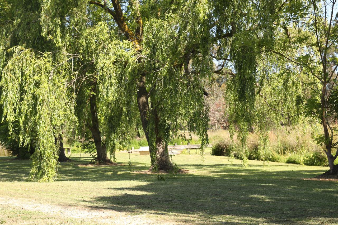 Little Lake Cottage Nyora Quarto foto
