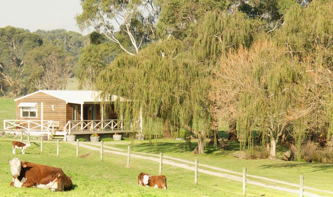 Little Lake Cottage Nyora Exterior foto